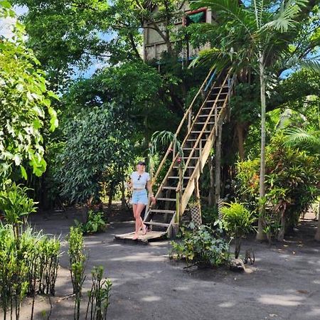 Tanna Volcano View Tree House Lenkuru エクステリア 写真