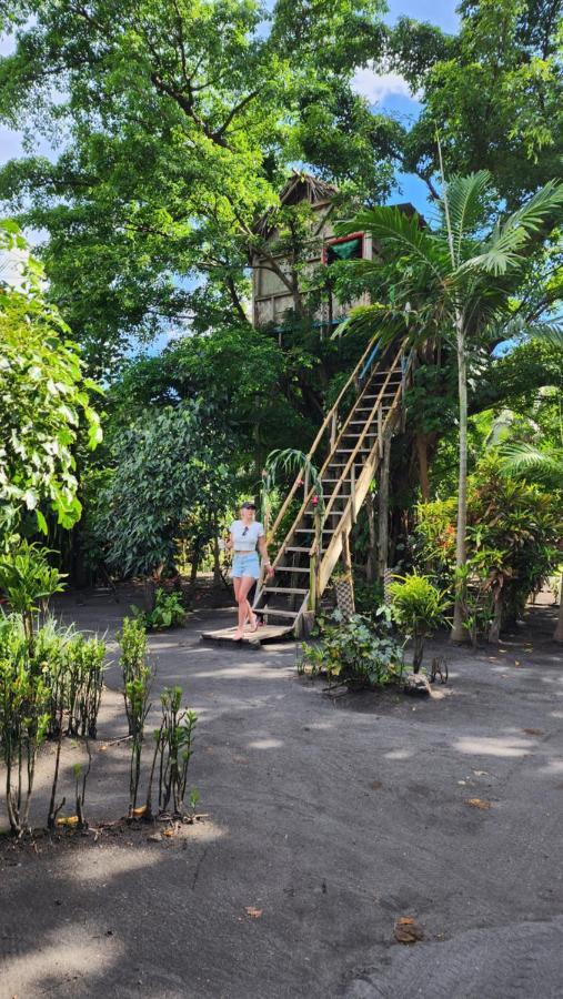 Tanna Volcano View Tree House Lenkuru エクステリア 写真