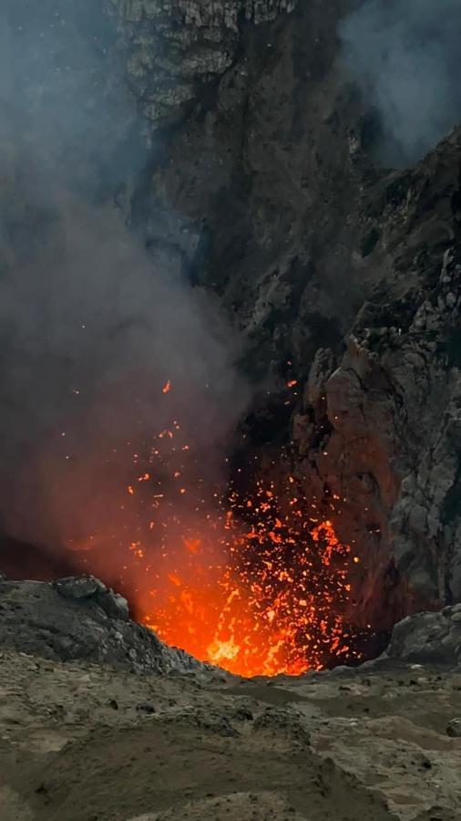 Tanna Volcano View Tree House Lenkuru エクステリア 写真