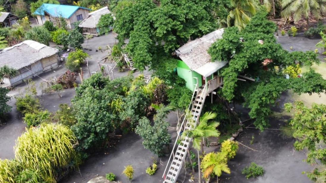 Tanna Volcano View Tree House Lenkuru 部屋 写真